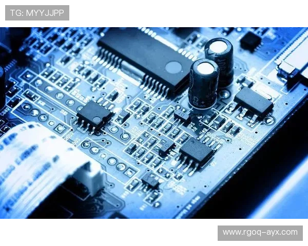 安特卫普数据揭示城市发展趋势：经济活力与创新引擎双轮驱动